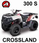 Ricambi Aeon Crossland 300 S